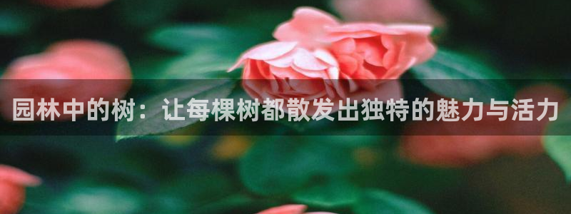 新宝gg网：园林中的树：让每棵树都散发出独特的魅力与活力