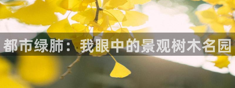 新宝GG手机客户端