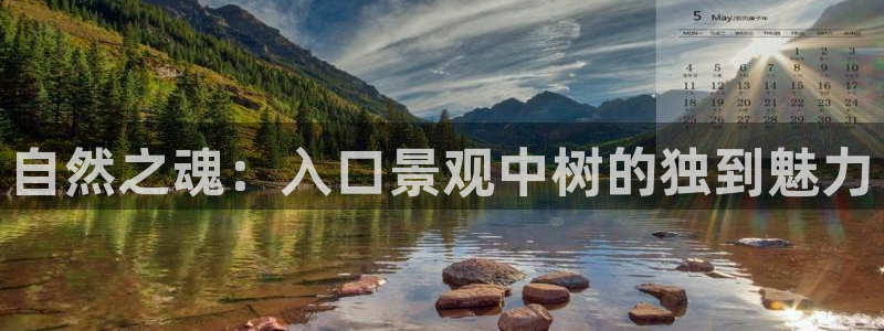 新宝gg玩法