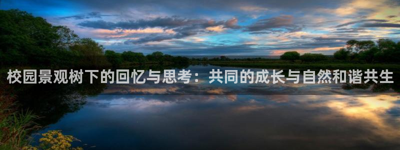 谁有新宝GG：校园景观树下的回忆与思考：共同的成长与自然和谐共生