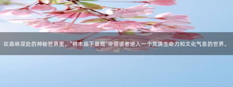娱乐世界新宝gg