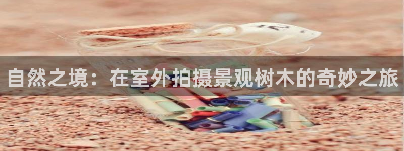 创造奇迹新宝gg