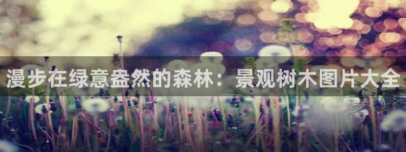 新宝GG网页