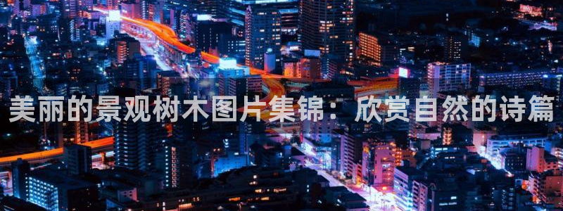 新宝gg平台怎么样：美丽的景观树木图片集锦：欣赏自然的诗篇