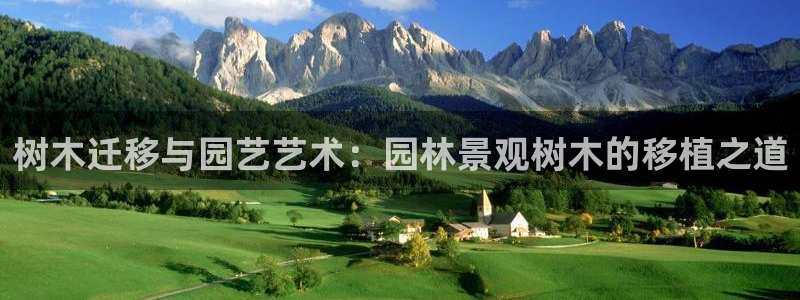 新宝gg官网