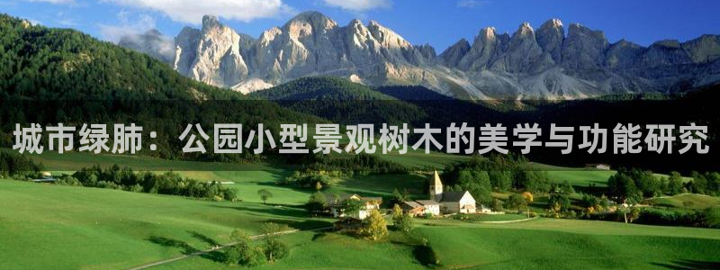 新宝gg合法吗