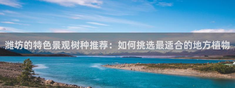 创造奇迹 新宝gg