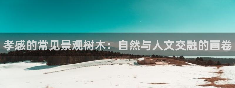 新宝gg找回账号