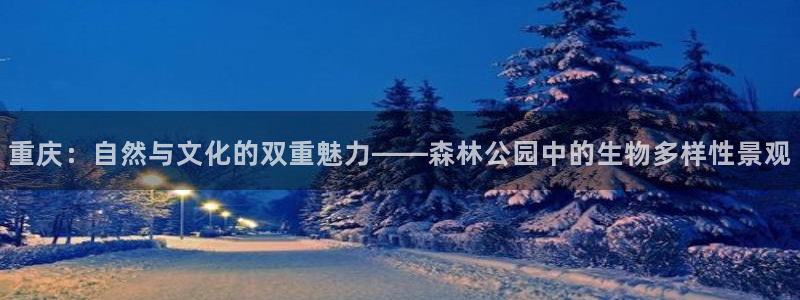 新宝gg博彩