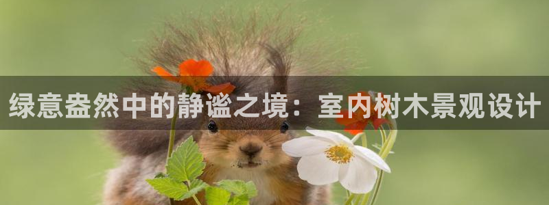新宝Gg测速地址