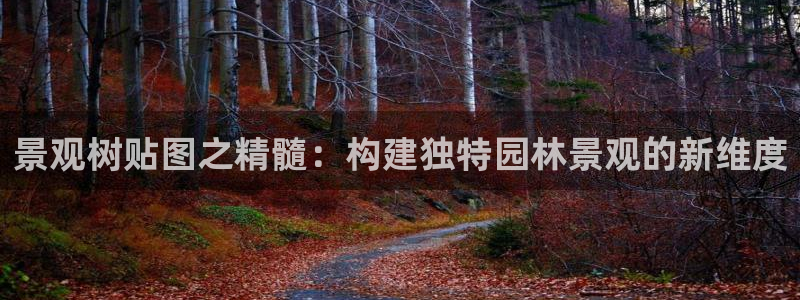 新宝gg平台开户