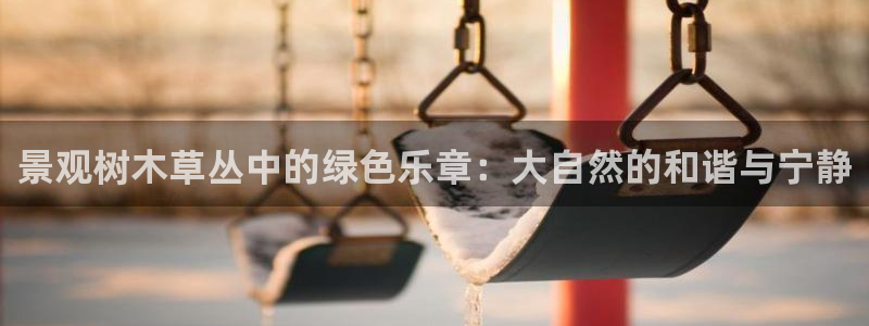 新宝gg官方