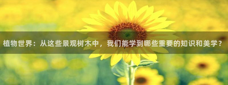 新宝gg娱乐主管q42873