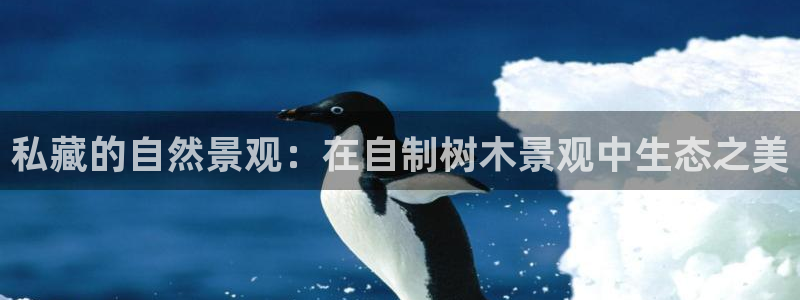 新宝gg合法吗