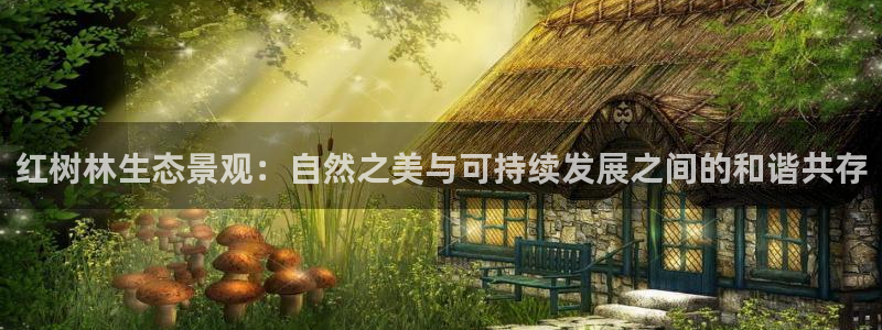 新宝gg找回账号