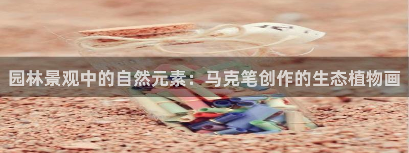 新宝GG玩家