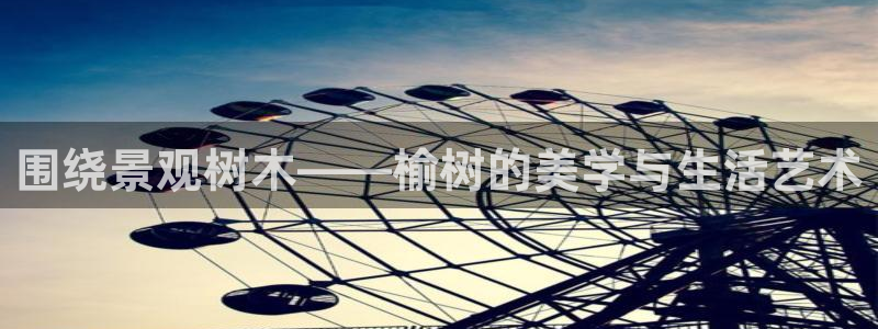 新宝gg平台怎么样