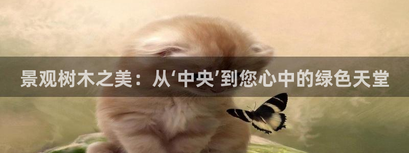 新宝gg合作