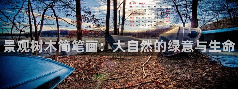 新宝gg是什么