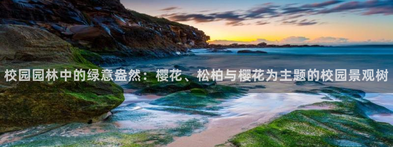 www.新宝gg