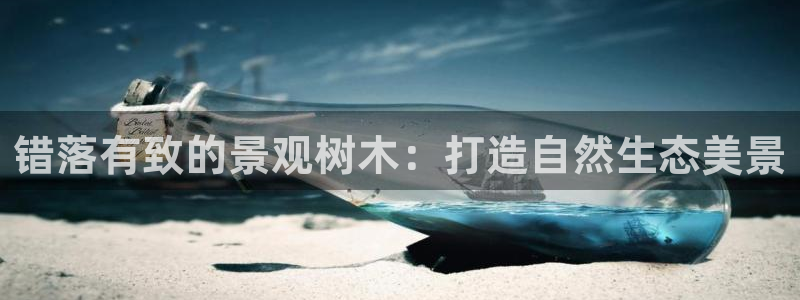 新宝gg博客