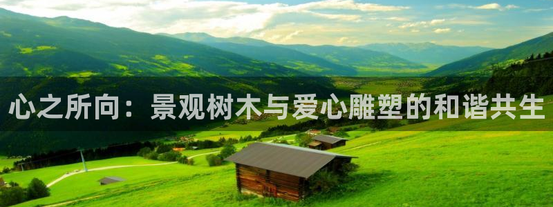 新宝gg直属上级