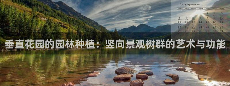 新宝gg招商致胜团队