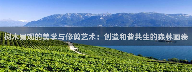 新宝gg金砖彩票