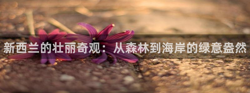 新宝gg为什么没人管