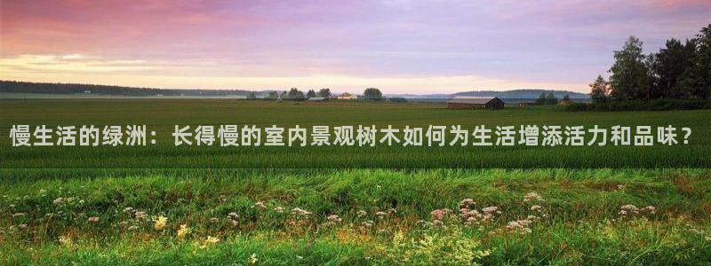 新宝gg手机版下载：慢生活的绿洲：长得慢的室内景观树木如何为生活增添活力和品味？