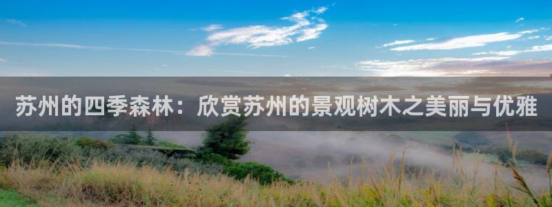 新宝gg直属