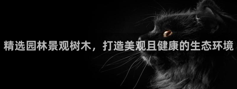 新宝gg主管_