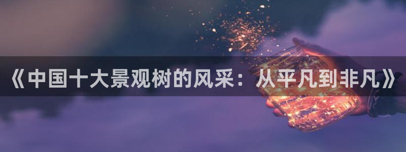 新宝gg平台反水