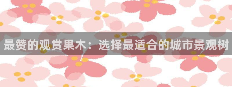 新宝gg龙虎规则