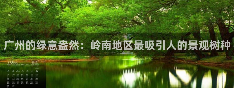 新宝gg博客