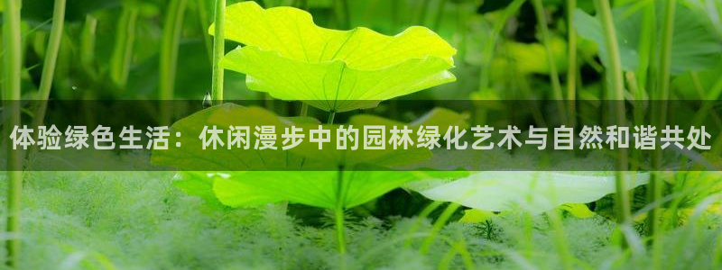 新宝gg娱乐vovq