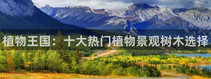 新宝gg首页平台