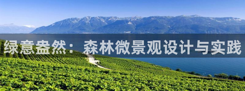 新宝GG—创造奇迹