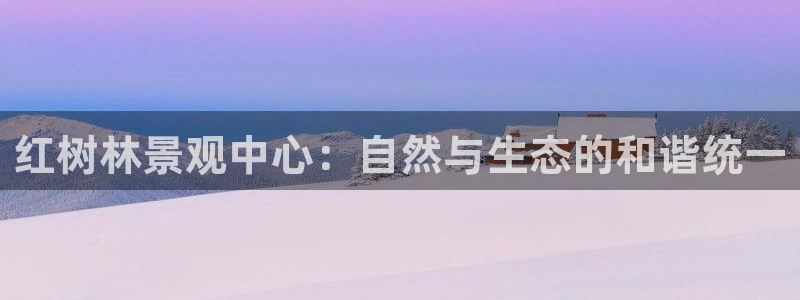 新宝gg画