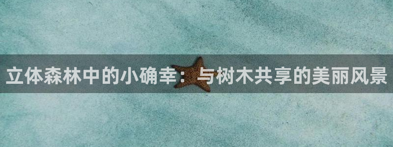 新宝gg主管都是谁