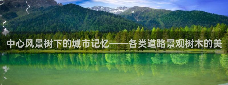 新宝gg开户