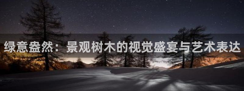 新宝gg如何注册登录