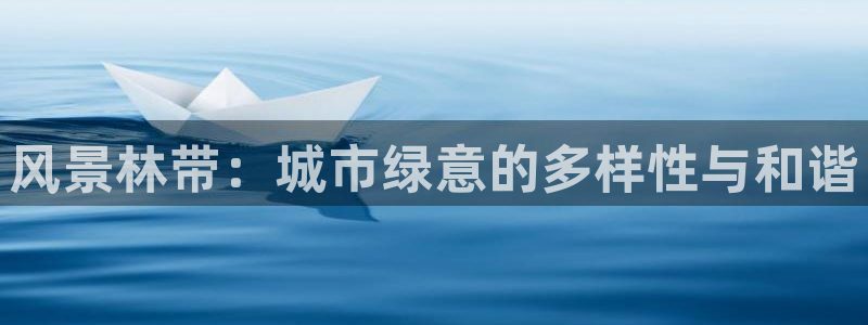 新宝GG无法充值