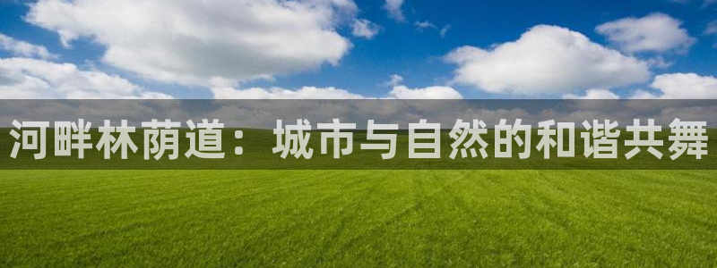 新宝gg娱乐怎么样