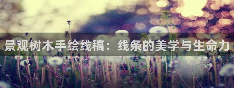 新宝六与新宝gg
