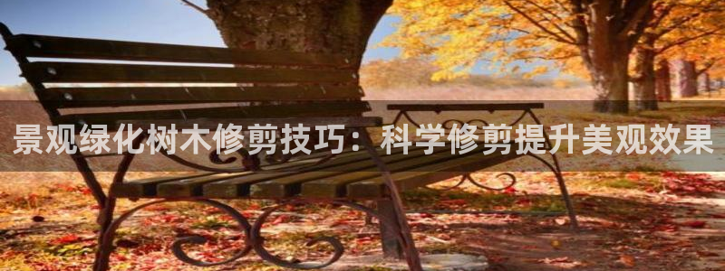 新宝GG桌面