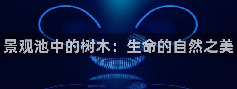 新宝gg官方