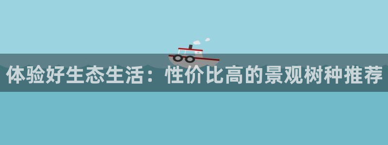 旧版新宝GG