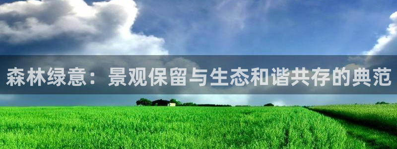 新宝gg怎么样