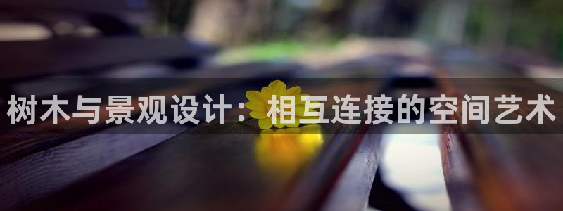 新宝GG网址新宝2